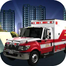 Ambulance Duty - Paramedic Emergency for Patients Urgent delivery to hospital